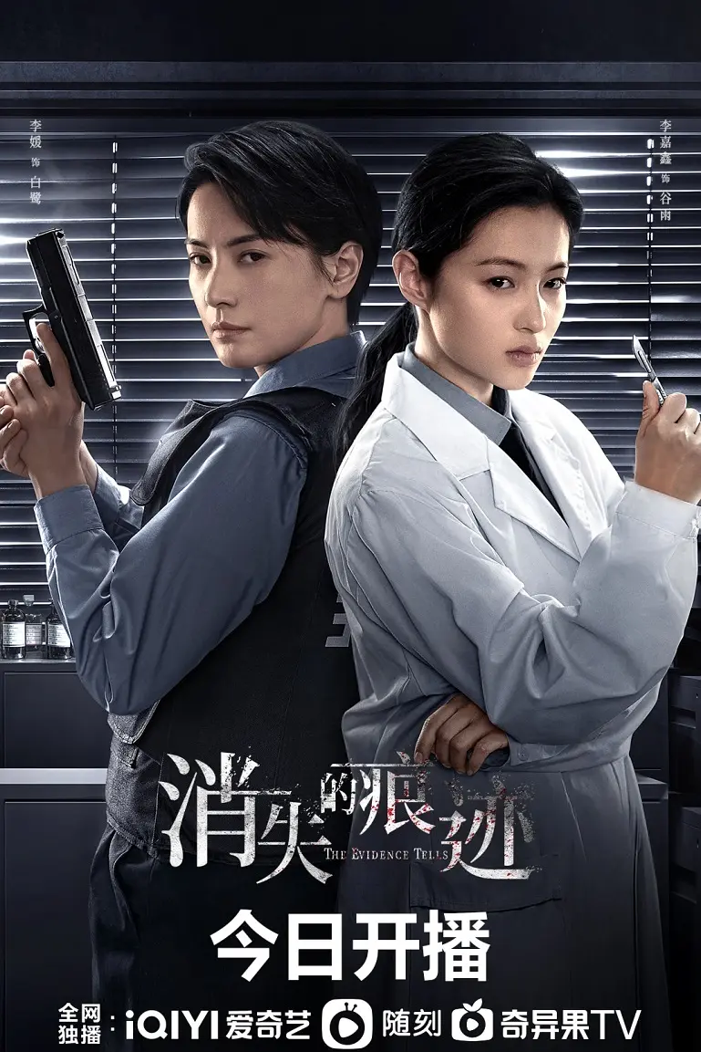 消失的痕迹海报