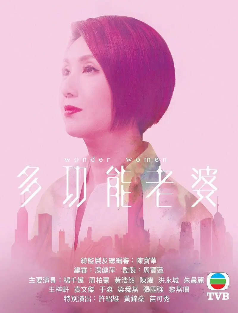 多功能老婆粤语海报