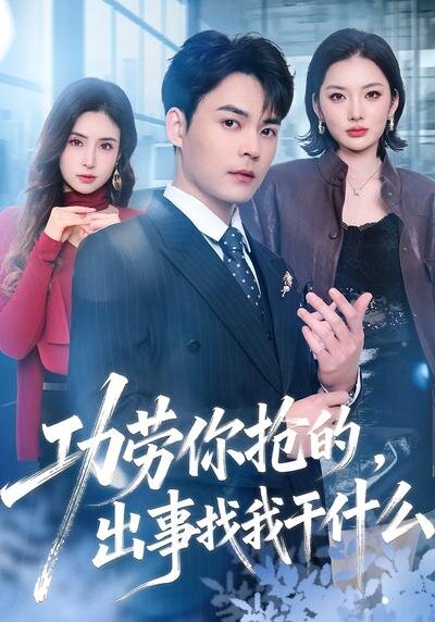 功劳你抢的，出事找我干什么海报