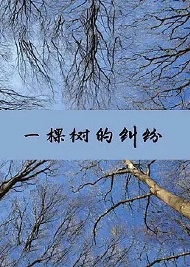 一棵树的纠纷海报