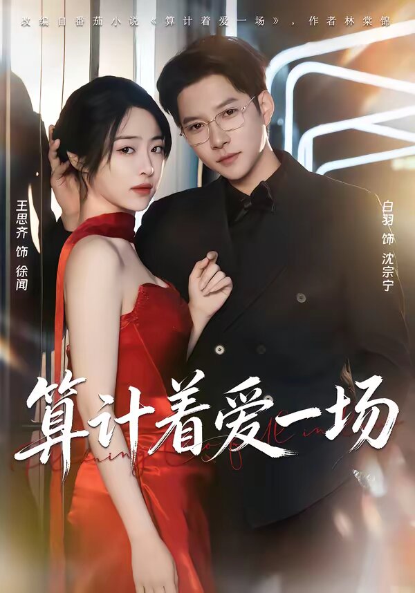 算计着爱一场海报