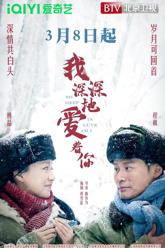 我深深地爱着你海报