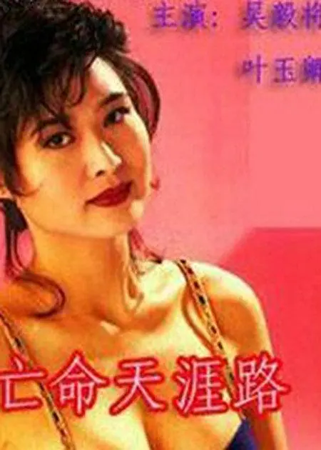 亡命天涯路国语海报