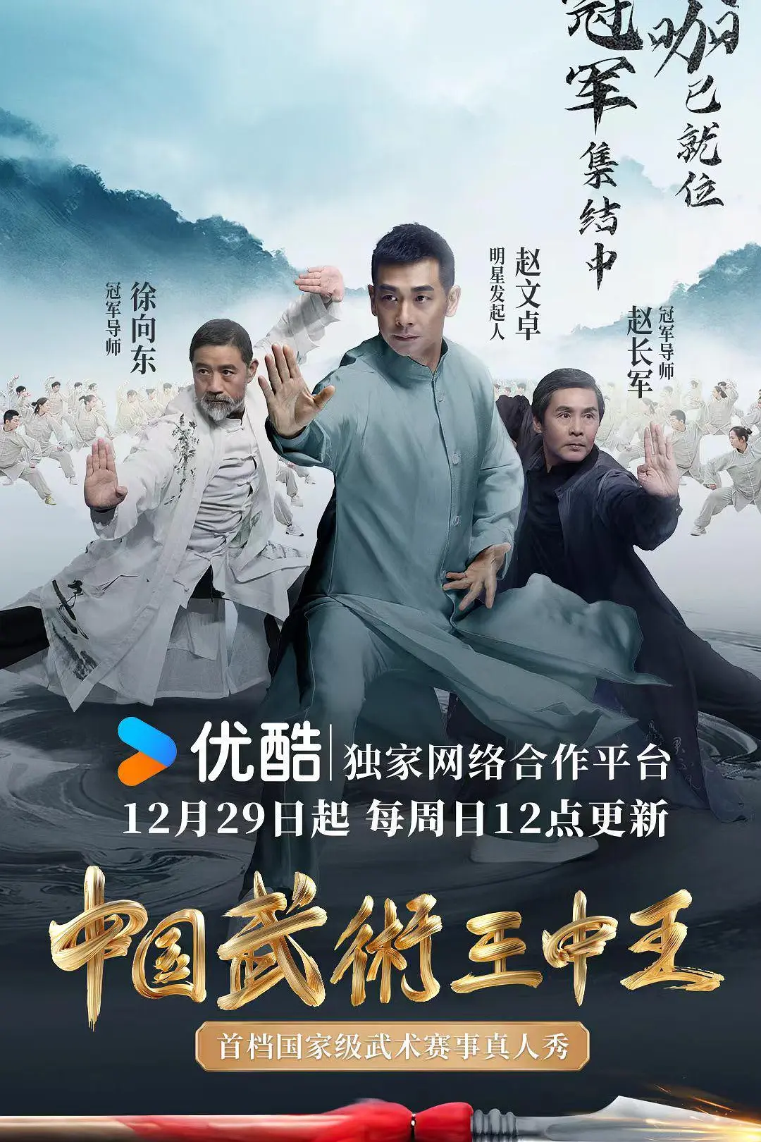 中国武术王中王海报