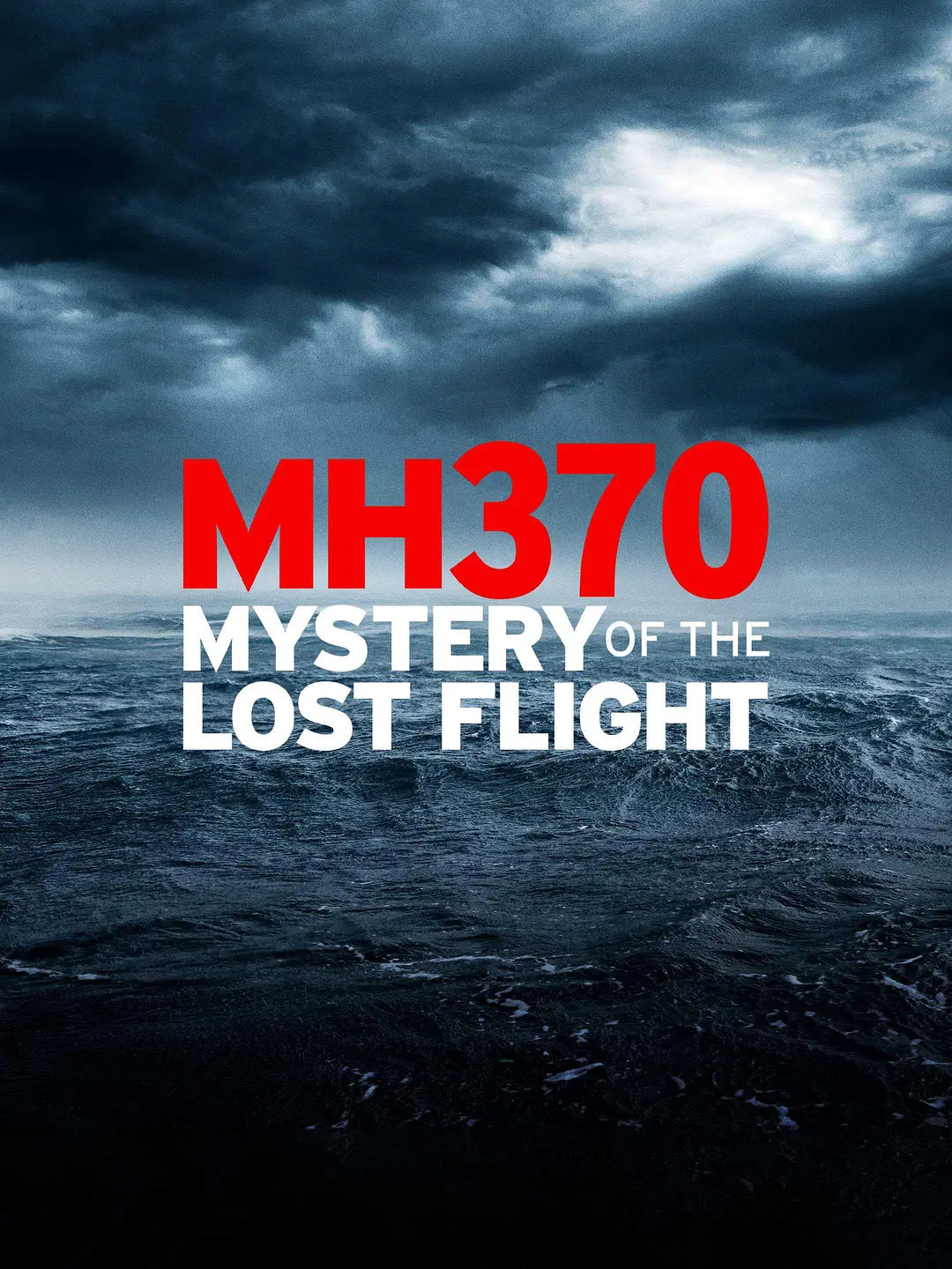 MH370：消失的航班海报