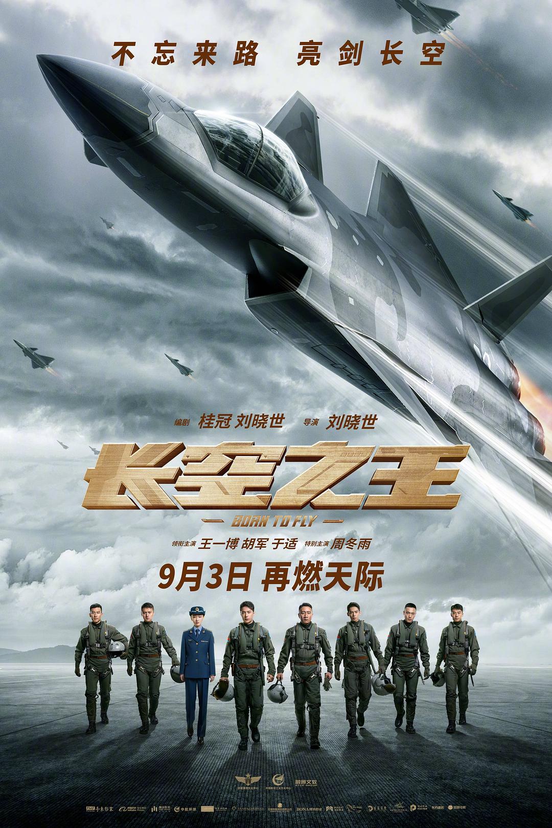 长空之王海报