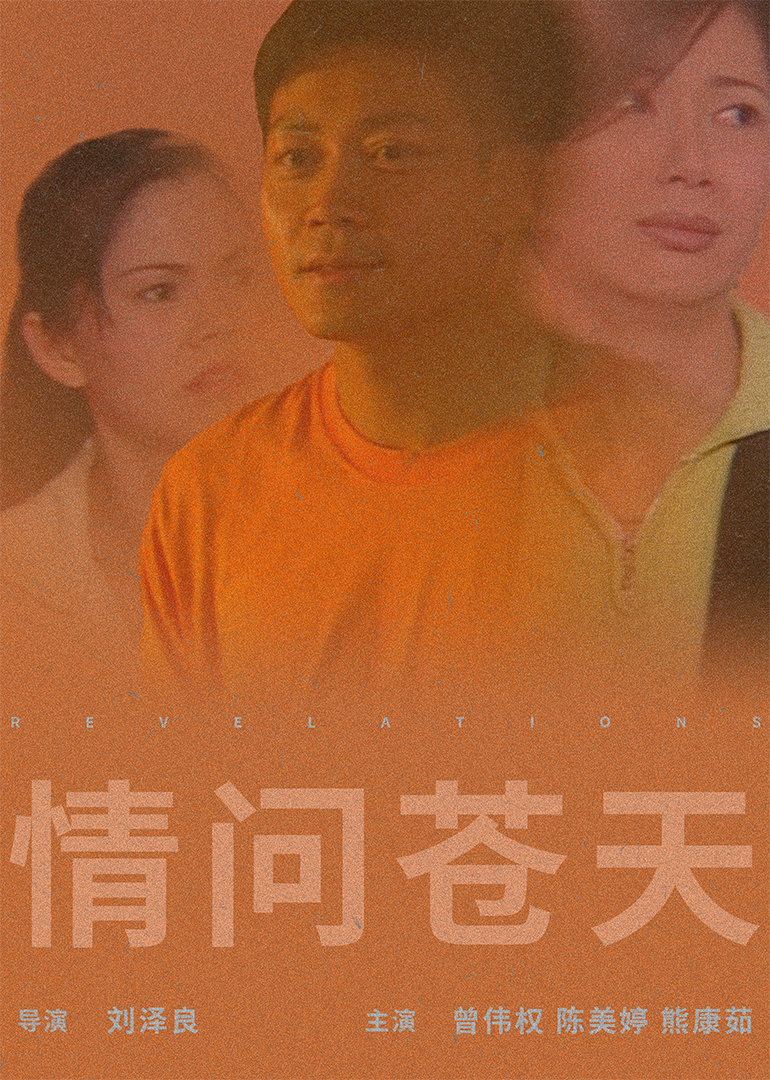 情问苍天海报